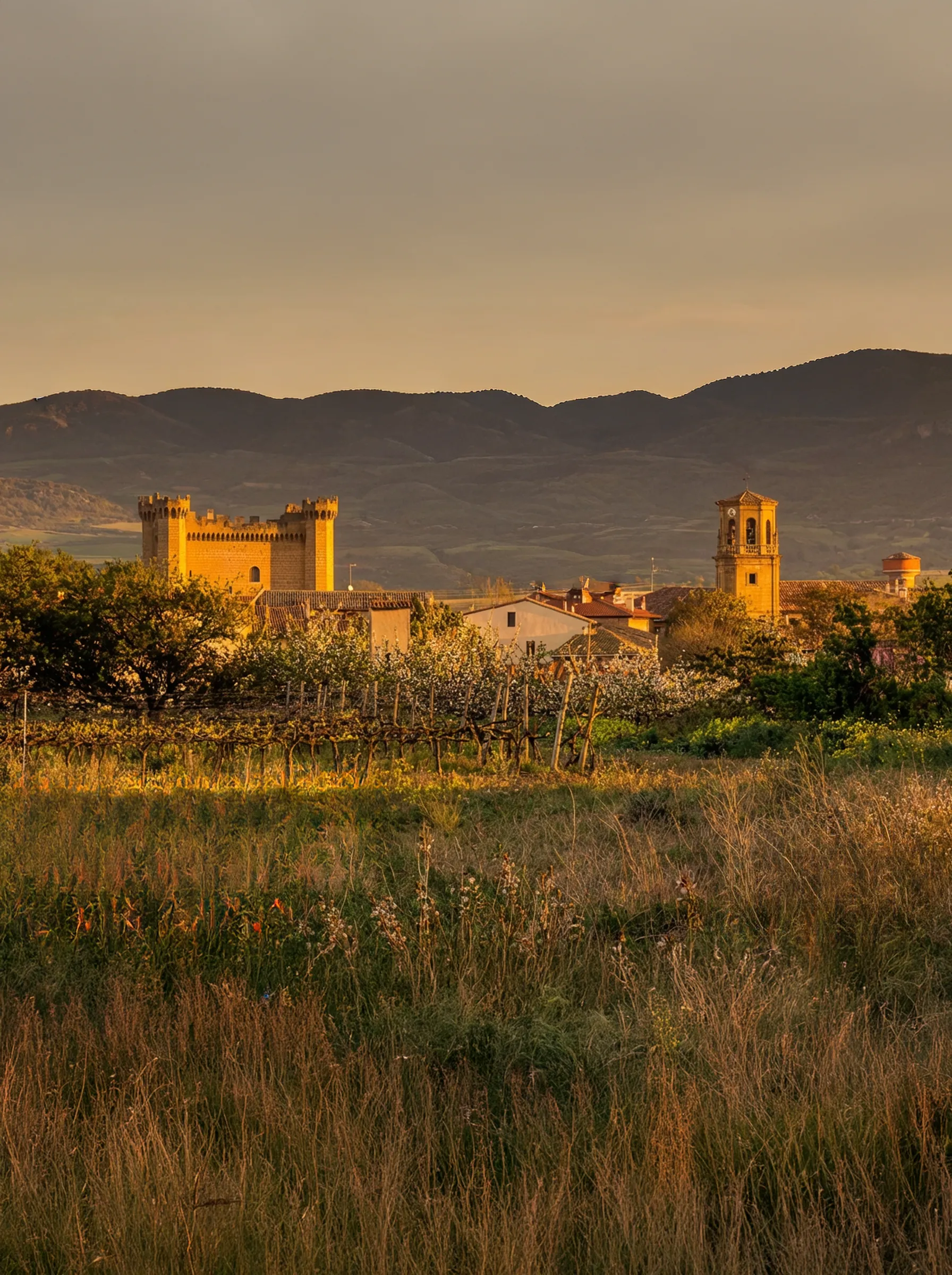 Sajazarra: historia, vino y muralla en un pueblo con encanto
